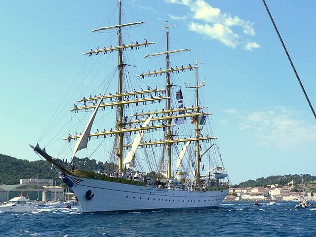 nava mircea