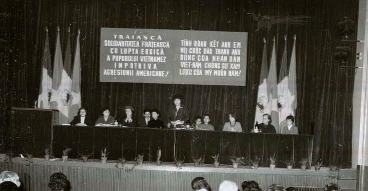 miting între românia și vietnam