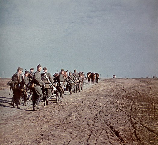 soldați germani în iunie 1941