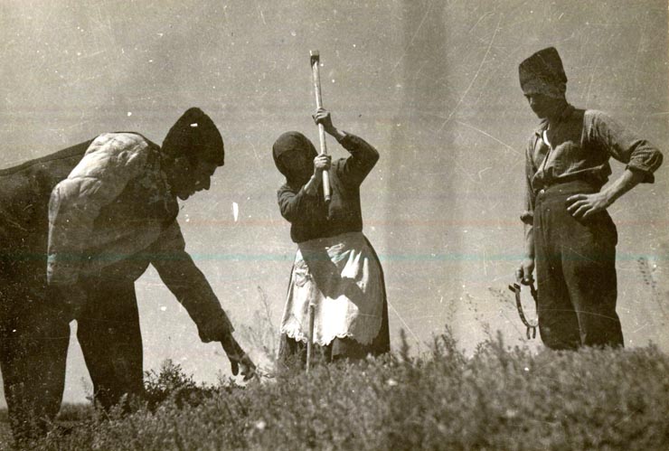țărani români bătând un țăruș