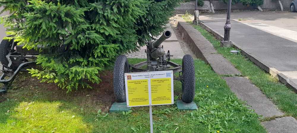 tun la muzeul din iași