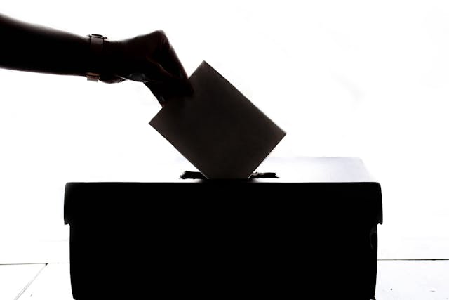 persoană votând